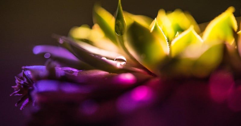 Découvrez les meilleures couleurs pour une décoration douce et réconfortante