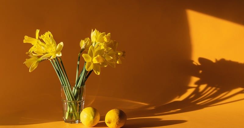 10 astuces pour une décoration douce et apaisante qui transforme votre intérieur