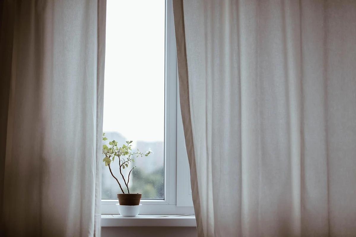 Plantes chambre à coucher danger : faut-il vraiment s'inquiéter ?