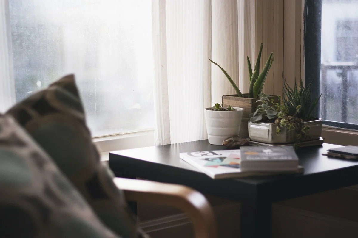 Quelle plante mettre dans une chambre pour bien dormir