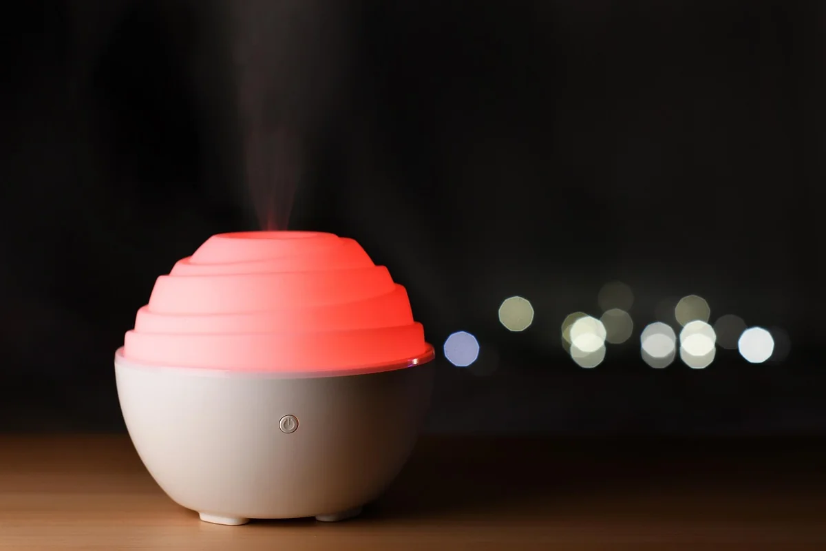 Plante pour humidifier l'air chambre : ce qui marche vraiment