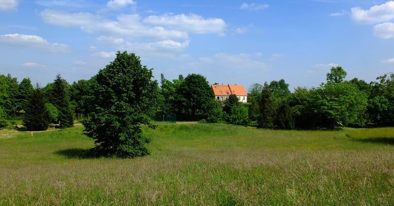Petite maison, grand potentiel : optimisez l’espace de rangement avec une organisation pratique